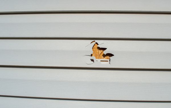 Cost of Siding Hole Patching in Worcester