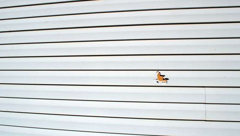 Damaged Vinyl Siding Fix